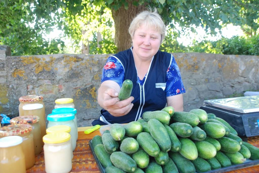 Šodien, 10. jūlijā, Durbē notiek svētki "Durbes kaujai - 750". Jau no paša rīta darbojas amatnieku tirgus, uzstājas Latvijas un Lietuvas folkloras ansambļi, deju kolektīvi. Pēcpusdienā svētku programmā būs sadaļas "Dižās cīņas atbalsis",...