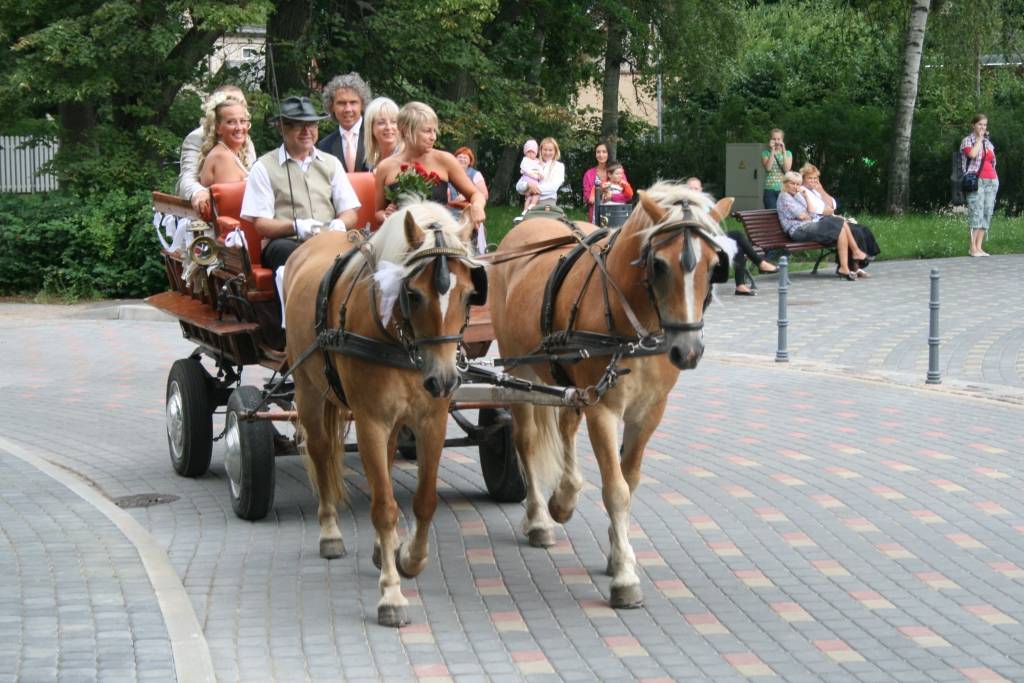 Šodien, 20. augustā, Liepājā uz Gulbīšu dīķa saliņas svinīgā kāzu cermonija notika frizētavas "Inese Lukss" īpašniecei Inesei Polovjanovai un viņas dzīvesdraugam Dainim.
Autors: Uldis Dobelis