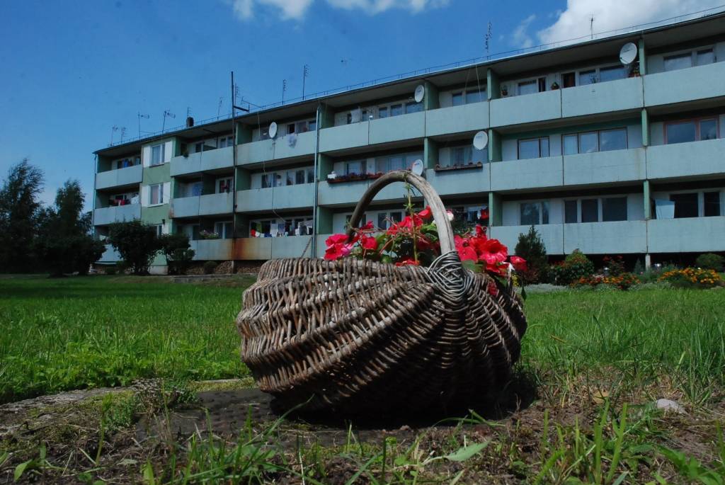 Šonedēļ septiņu cilvēku komisija apmeklē teju vai visas Rucavas novada kapsētas, lai novērtētu, kura no tām saposta glītāk. Apskatīs arī daudzdzīvokļu mājas, kuru iedzīvotāji sadūšojušies pieteikties konkursam “Sakoptākais īpašums Rucavas...