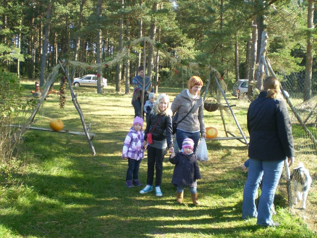 Biedrība 