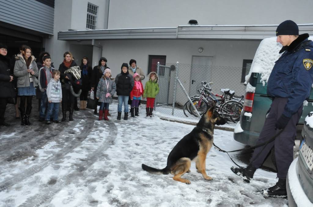 Autors: Dainis Ģelzis