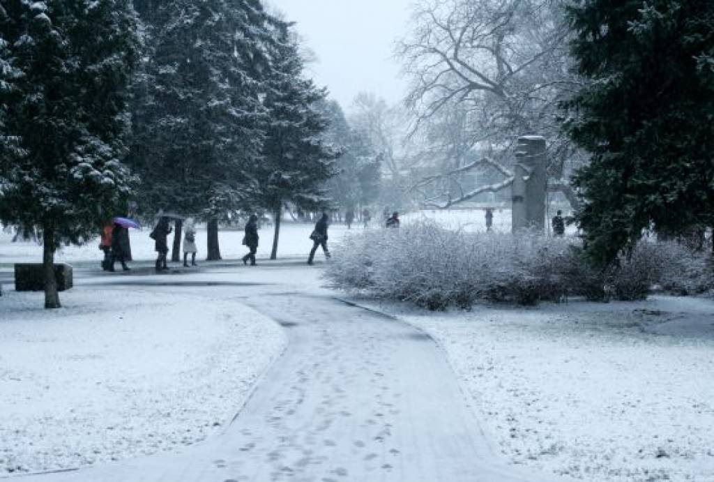 Šā gada 25. novembris. Piesnigušais Vērmanes dārzs. Rīga 
Autors: Ieva Čīka, LETA