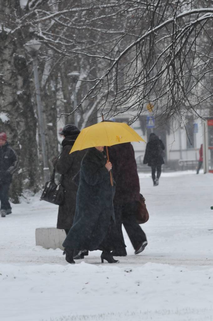 Piektdiena, 26. novembris, Liepājā atnesusi pirmo sniegu. Sinoptiķi brīdina, ka nedēļas nogalē Latvijā gaidāms sals, bet nākamnedēļ atsevišķos valsts rajonos termometra stabiņš var noslīdēt pat līdz mīnus 20 grādu atzīmei. Savukārt...
Autors: ReKurZeme, portāls