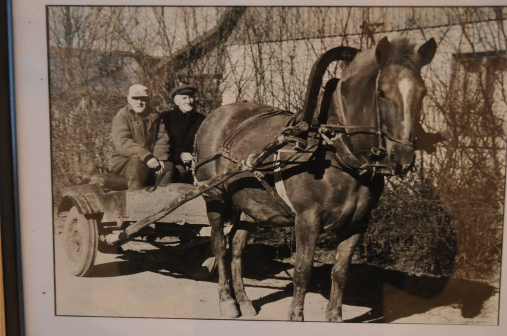 Atzīmējot 88. gadskārtu, fotogrāfs Edgars Vilsons pagastmājā izlicis dažādu gadugājumu darbus, kuros medzenieki var atpazīt pagasta iedzīvotājus, zināmas vietas apkārtnē vai vienkārši priecāties par labiem skatiem.
E. Vilsons fotogrāfiju...
Autors: Ilze Vainovska