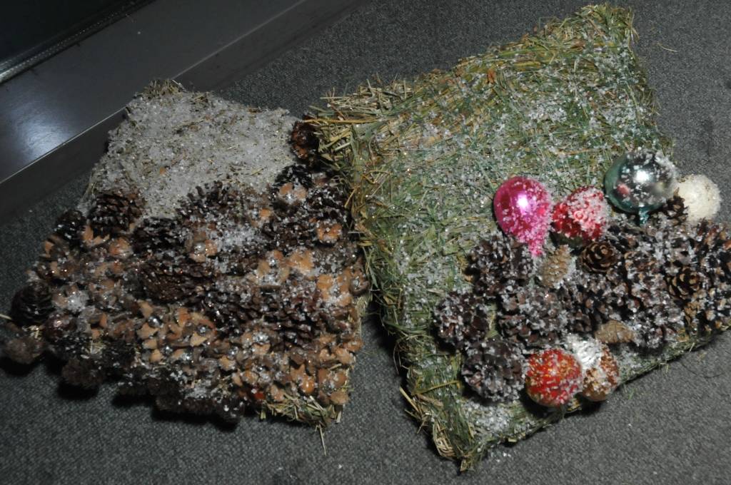 Svētku laikā prieku liepājniekiem un pilsētas viesiem sagādājuši J. Čakstes Liepājas 10. vidusskolas skolēni. Kafejnīcā “Kupeja” skatāma floristikas darbu, fotogrāfiju un rokdarbu izstāde. Ideja par izstādes veidošanu radusies skolas...
Autors: Iluta Dreimane
