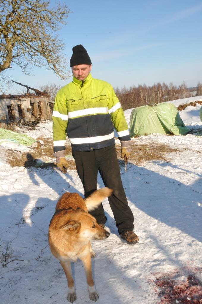 Ortdienas, 15. februāra, rītā Durbes novada Dunalkas pagasta "Liepās" izcēlās plašs ugunsgrēks. Cilvēki necieta, bet daudzi mājlopi gājuši bojā. Sadegusi arī automašīna.
Autors: ReKurZeme, portāls