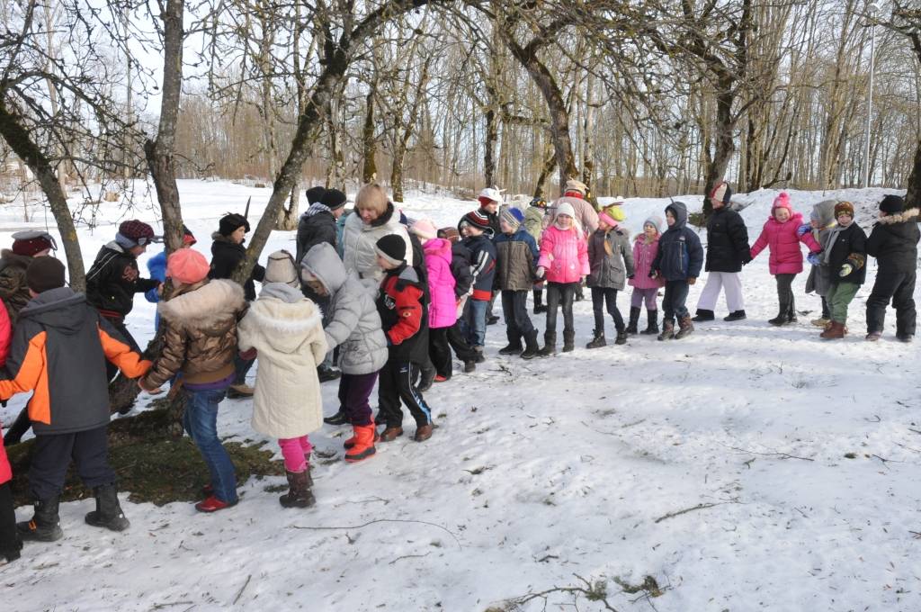 Riņķu riņķiem ap ābelēm, ap skolu, ap stūru stūriem Meteņdienā izstaigāja gandrīz vai visi Krotes Kronvalda Ata pamatskolas bērni, lai šis gads būtu ražens un visa kā būtu diezgan.
Autors: ReKurZeme, portāls