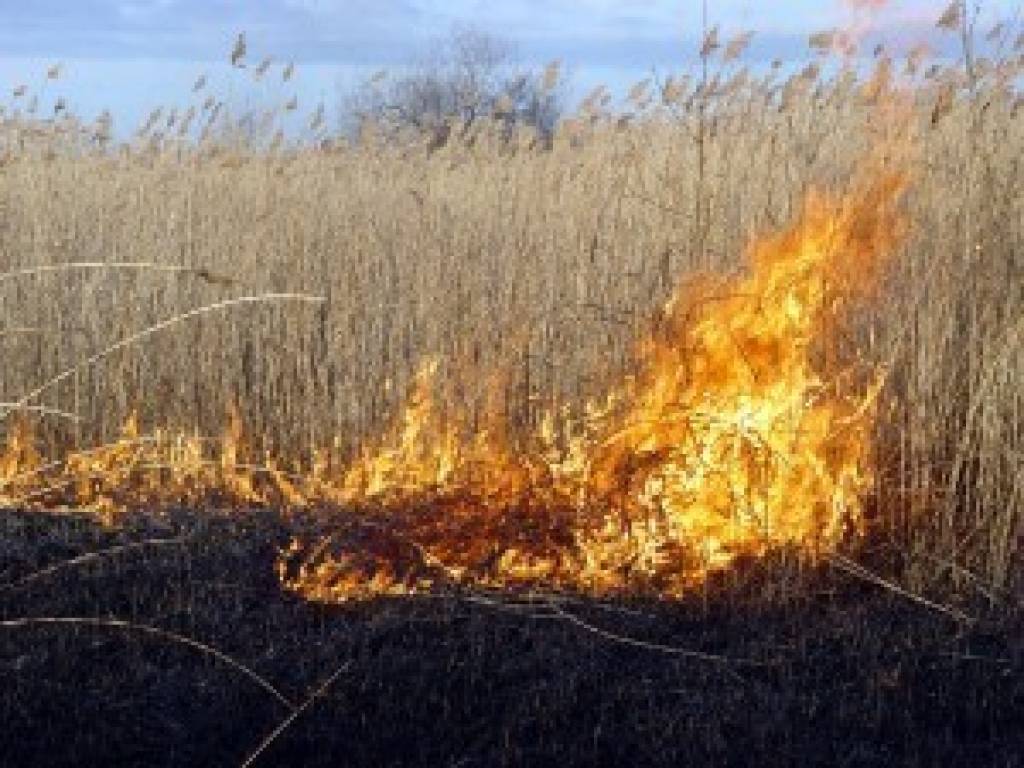 Autors: Dainis Ģelzis
