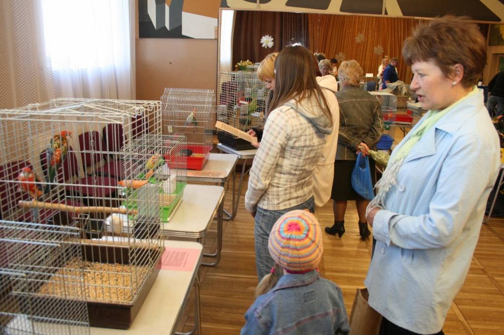 23. aprīlī Skolēnu interešu centrā Grobiņā bija skatāma rokdarbu izstāde un kaķu un putnu izstāde.
Autors: Uldis Dobelis