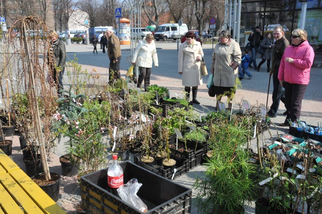 Šodien laukumā pie TN „Kurzeme” notika Lieldienu gaidīšanas pasākums - lielā Zaķu parāde un citas atrakcijas, darbojās tirdziņš.
Autors: ReKurZeme, portāls
