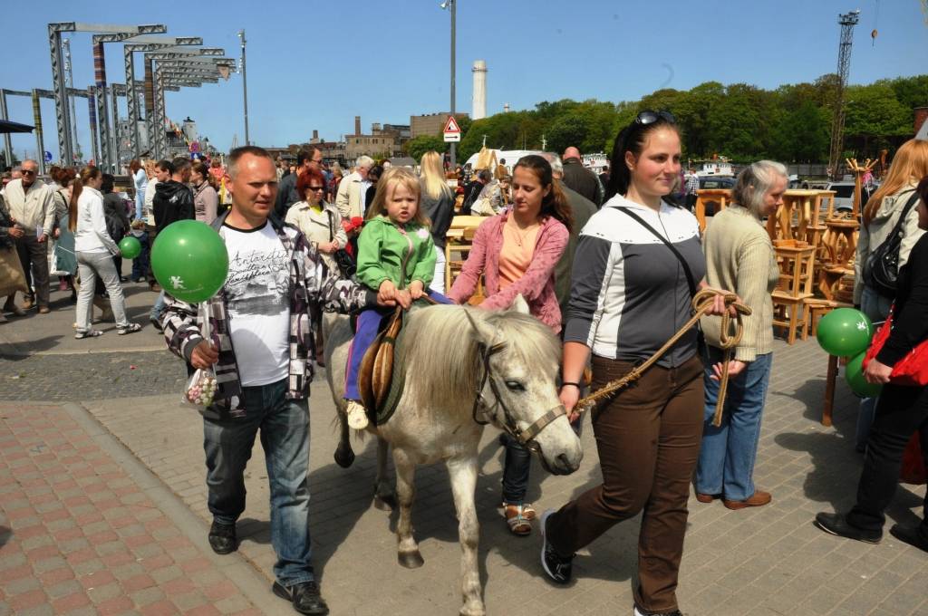 Etnomūzikas festivāla "Liiv Riek" programmu iesāka "Auļu" uzstāšanās, un pēcpusdienā tika sagaidīts "Skyforger". Dienas gaitā raiti turpinājās tirgošanās, ēšana un dzeršana, pārsteidzoši daudz darbnīcu čakliem un radošiem bērniem, kuri...
Autors: Ilze Vainovska