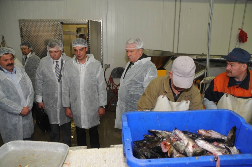 Piektdien Liepājā viesojās zemkopības ministrs Jānis Dūklavs. Viņš apmeklēja zivju pārstrādes uzņēmumu „Kolumbija” un tikās ar Liepājas apkaimes zvejniekiem.
Autors: ReKurZeme, portāls