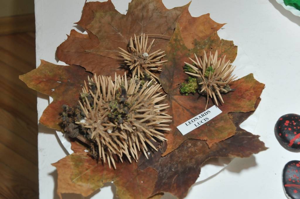 Līdz 20. maijam Nīcas kultūras namā var apskatīt kultūras nama un Nīcas vidusskolas radošo pulciņu – keramikas, radošās darbnīcas “Flora” un skaisto lietu darbnīcas – audzēkņu darbus, kas tapuši pusgada garumā. Darbi ir daudzveidīgi un...
Autors: ReKurZeme, portāls