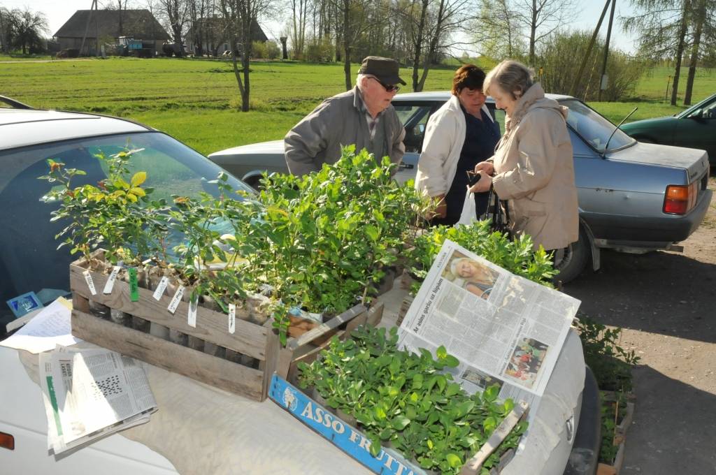 Aizvadītās nedēļas nogalē paviesojāmies Grobiņas, Durbes un Priekules novados. Piedāvājam foto no pavasara tirdziņa un Lielās talkas.
Autors: ReKurZeme, portāls