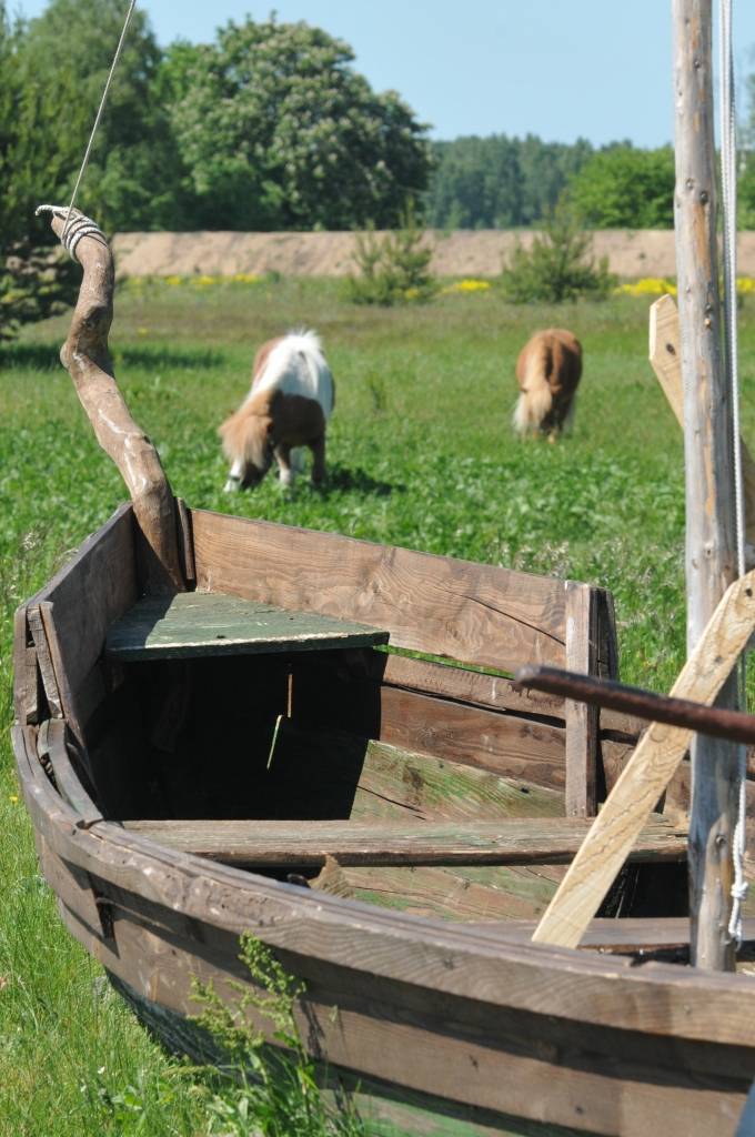Piektdien, 3. jūnijā, simboliski tika iedzīts pirmais stūra mieta slēgta tipa vasaras nojumei Grobiņas novada "Dižvanagos". Nojumes būvei tiks izmantots Mārtiņa Freimaņa fonda piešķirtais finansējums - četri tūkstoši latu. 
Trīs gadu...
Autors: Ilze Vainovska
