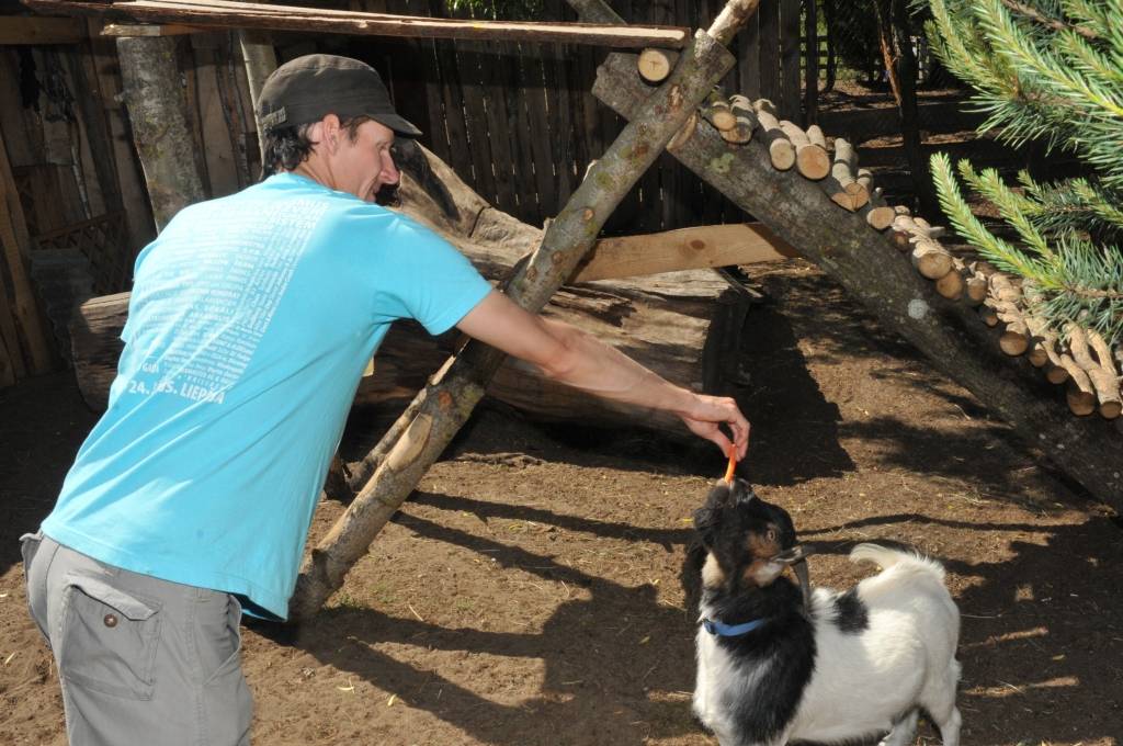 Piektdien, 3. jūnijā, simboliski tika iedzīts pirmais stūra mieta slēgta tipa vasaras nojumei Grobiņas novada "Dižvanagos". Nojumes būvei tiks izmantots Mārtiņa Freimaņa fonda piešķirtais finansējums - četri tūkstoši latu. 
Trīs gadu...
Autors: Ilze Vainovska
