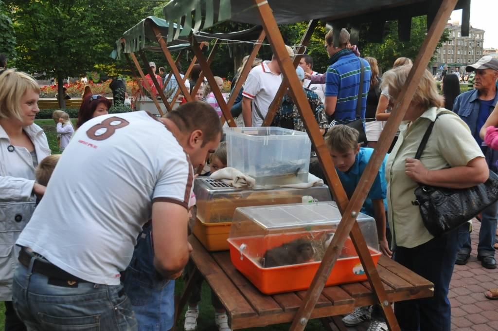 Sestdien, 13. augustā, Liepājā notika Zivju ielas svētki.
Autors: Uldis Dobelis