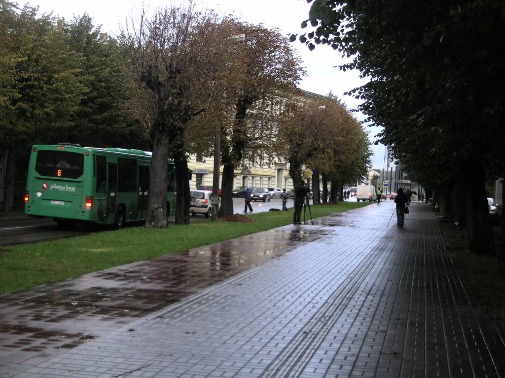 Atzīmējot Baltā spieķa dienu, Liepājā ceturtdien, 13. oktobrī, jau 13. reizi notika ielu akcija.