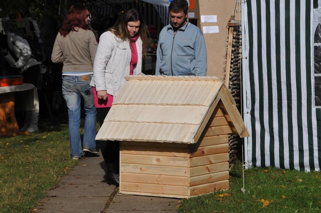Kad gan vēl tuvāku un tālāku kaimiņu priekša dižoties, ja ne rudenī, kad vasarā audzētais un sarūpētais nolikts pie vietas?
Sestdien, 8. oktobrī, bārtenieki bija ielūguši pie sevis visu pārējo Grobiņas novada pagastu ļaudis, lai paši...
Autors: Sarmīte Štrausa