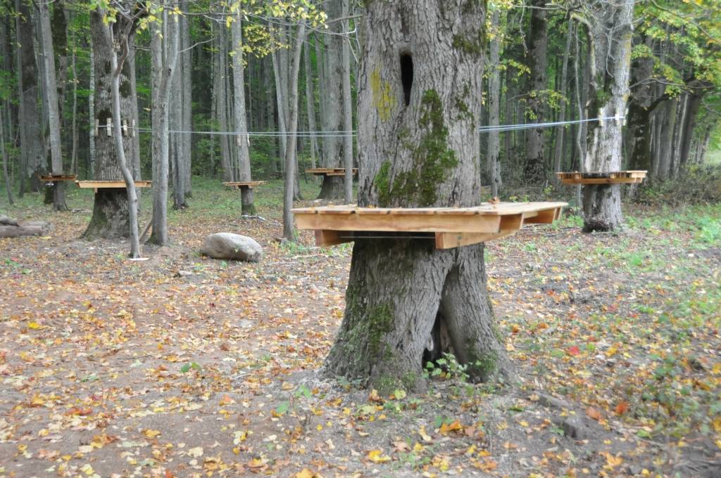 Līdz oktobra beigām jāpabeidz Aktīvās atpūtas un dabas taka Kalētu meža parkā Priedienā, kur aktīvi strādā tēlnies Ģirts Burvis, pieaicinot arī citus māksliniekus un saņemot atbalstu no kalētniekiem. 
Kalētu Vietējās iniciatīvas grupas...
Autors: Ilze Vainovska