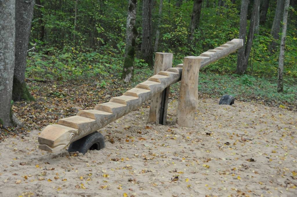 Līdz oktobra beigām jāpabeidz Aktīvās atpūtas un dabas taka Kalētu meža parkā Priedienā, kur aktīvi strādā tēlnies Ģirts Burvis, pieaicinot arī citus māksliniekus un saņemot atbalstu no kalētniekiem. 
Kalētu Vietējās iniciatīvas grupas...
Autors: Ilze Vainovska