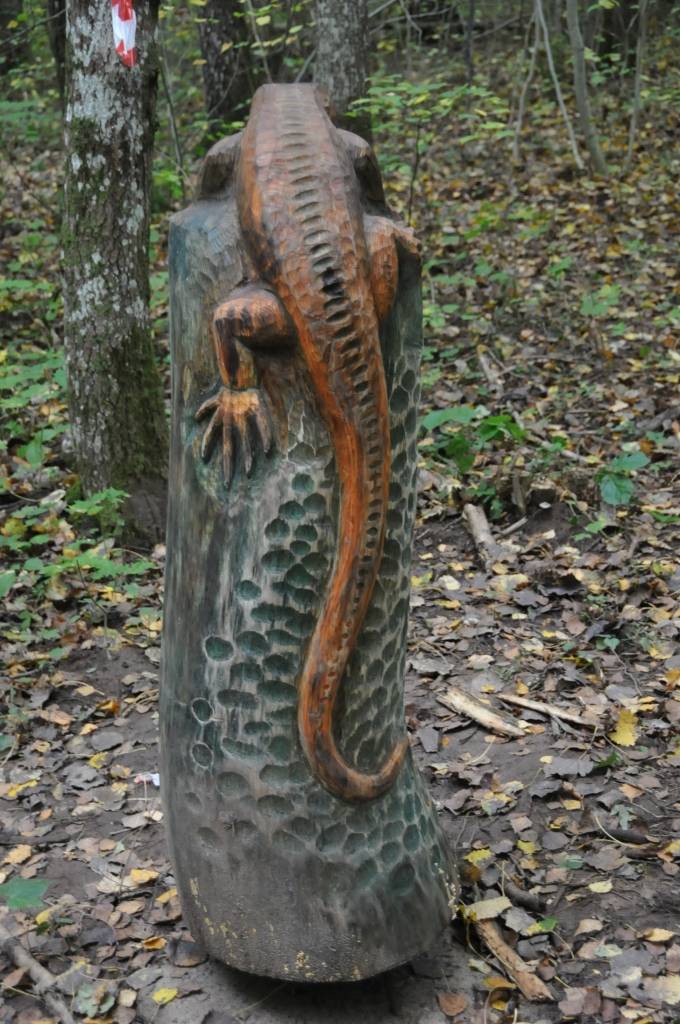 Līdz oktobra beigām jāpabeidz Aktīvās atpūtas un dabas taka Kalētu meža parkā Priedienā, kur aktīvi strādā tēlnies Ģirts Burvis, pieaicinot arī citus māksliniekus un saņemot atbalstu no kalētniekiem. 
Kalētu Vietējās iniciatīvas grupas...
Autors: Ilze Vainovska
