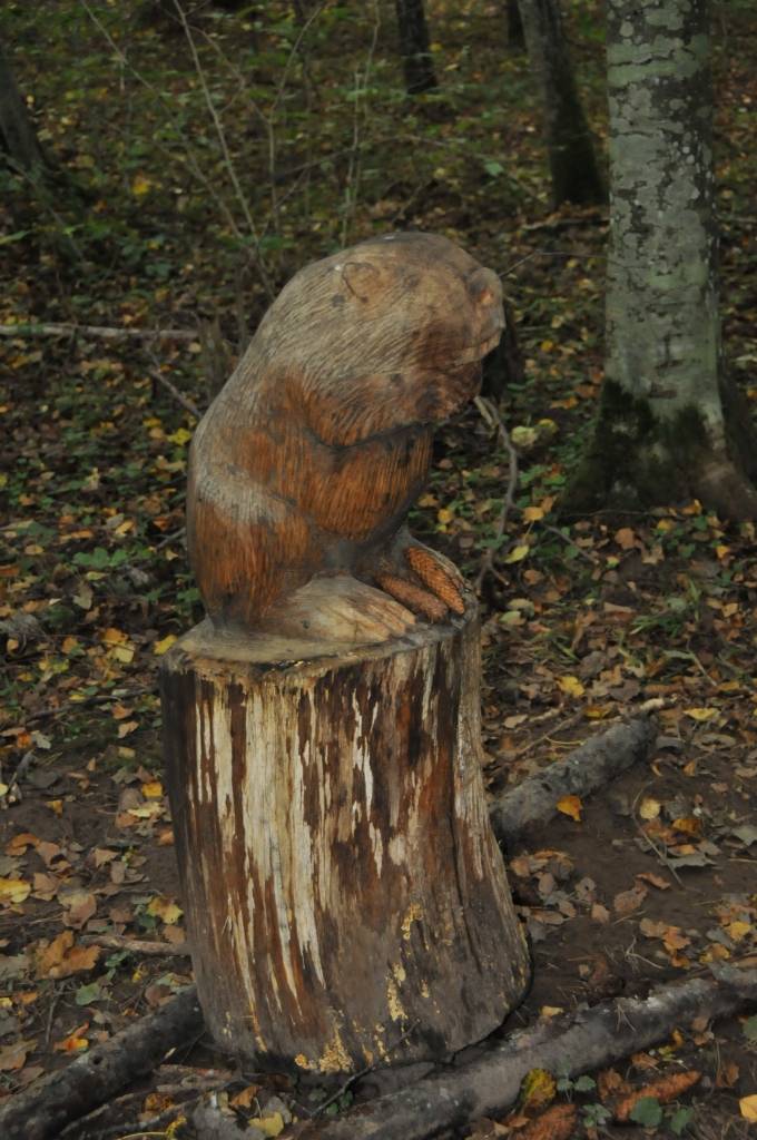 Līdz oktobra beigām jāpabeidz Aktīvās atpūtas un dabas taka Kalētu meža parkā Priedienā, kur aktīvi strādā tēlnies Ģirts Burvis, pieaicinot arī citus māksliniekus un saņemot atbalstu no kalētniekiem. 
Kalētu Vietējās iniciatīvas grupas...
Autors: Ilze Vainovska