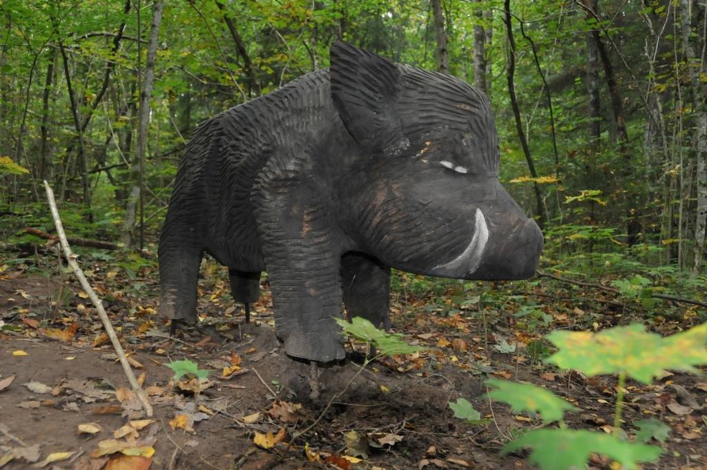 Līdz oktobra beigām jāpabeidz Aktīvās atpūtas un dabas taka Kalētu meža parkā Priedienā, kur aktīvi strādā tēlnies Ģirts Burvis, pieaicinot arī citus māksliniekus un saņemot atbalstu no kalētniekiem. 
Kalētu Vietējās iniciatīvas grupas...
Autors: Ilze Vainovska