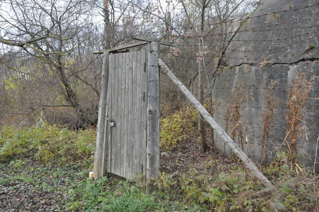 Šodien, 14. novembrī, ko Latvijas brīvvalsts laikā pat atzīmēja kā Liepājas atbrīvošanas dienu, sakopšanas talka notika Brīvības cīņu vietā netālu no Brīvības un 14. novembra krustojuma. Talkā piedalījās Liepājas jaunsargi un 1....
Autors: Ilze Vainovska