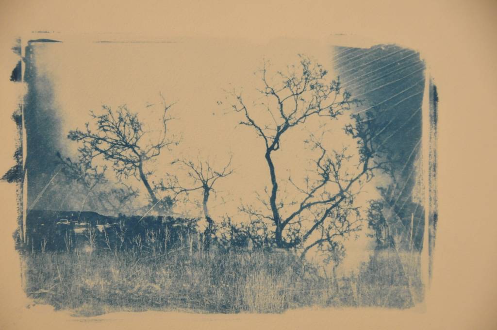 Liepājas Latviešu biedrības namā līdz 2. janvārim skatāma Aivara Rozenbaha izstāde "Fotografikas".
Autors: ReKurZeme, portāls