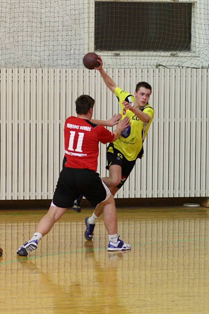 Autors: Mārtiņš Zitmanis