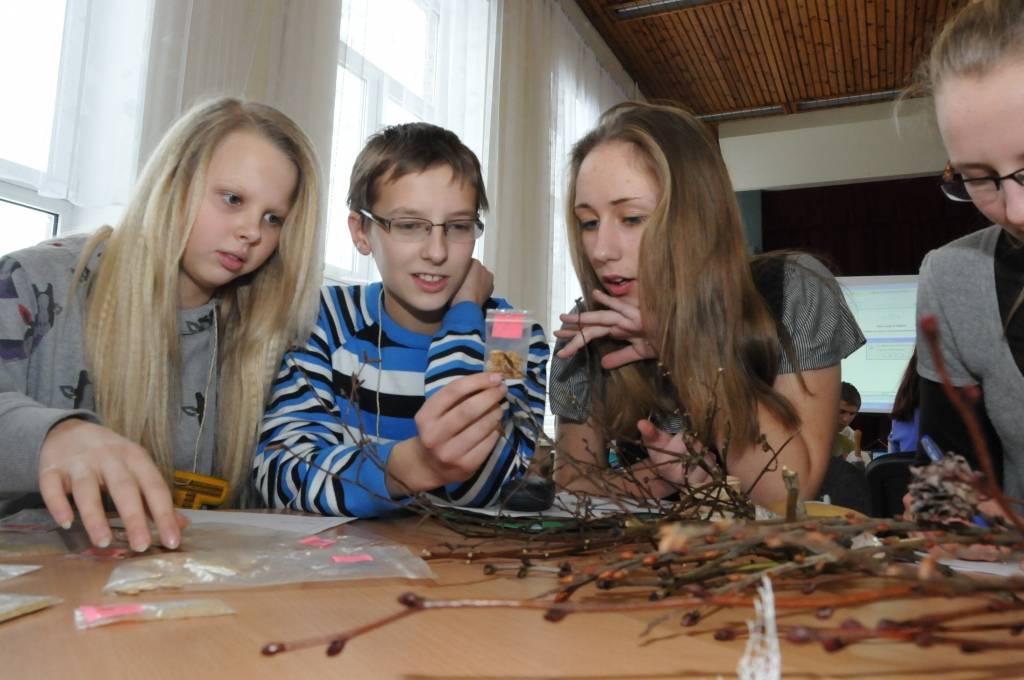 Trešdien, 25. janvārī, Grobiņas ģimnāzijā notika "Matemātikas un dabas zinātņu pēcpusdiena" novada 7-9. klašu skolēniem. Par to kā jaunajiem censoņiem veicās, lasiet kādā no nākamajiem "Kursas Laika" numuriem.
Autors: ReKurZeme, portāls
