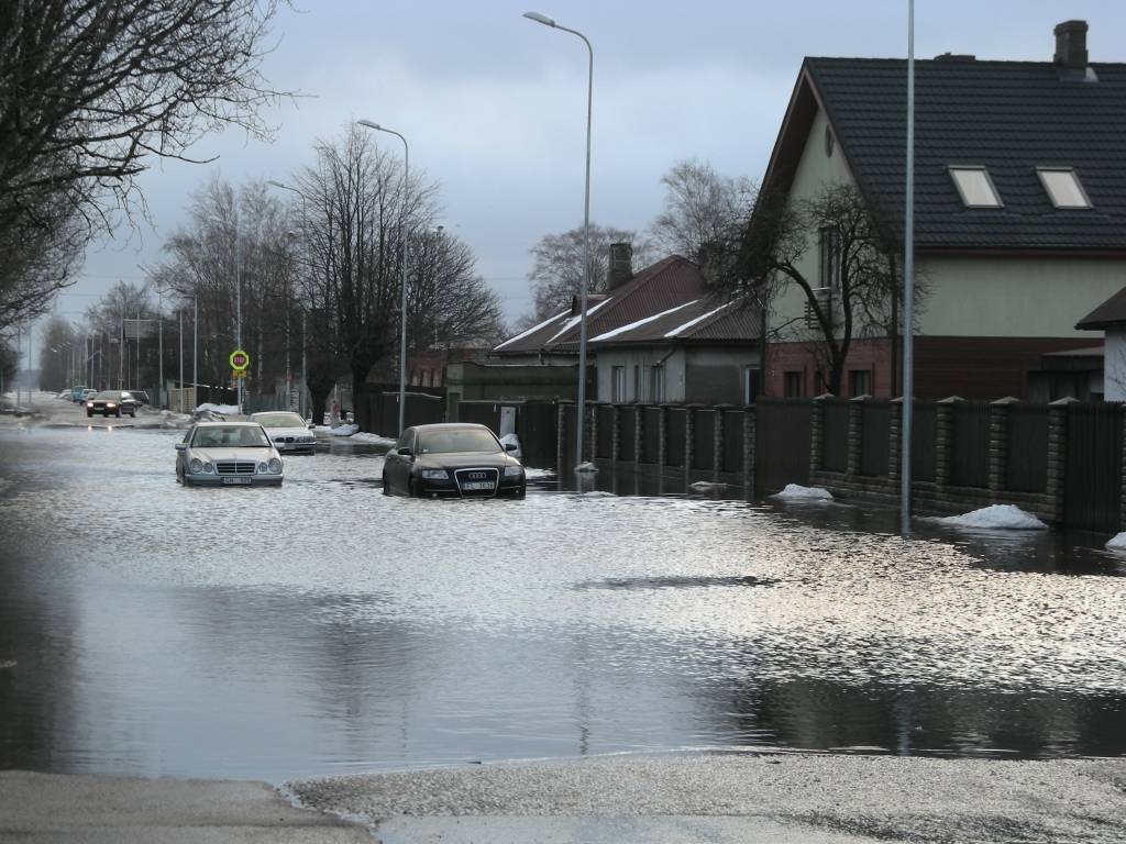 Autors: Gunita Skroderēna