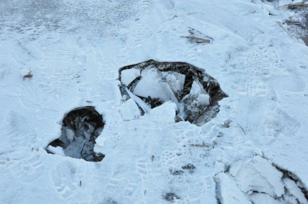 Autors: Dainis Ģelzis