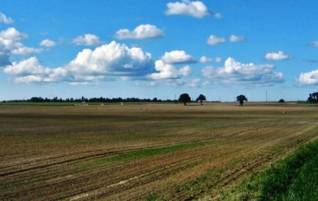 Autors: dziedava.lv