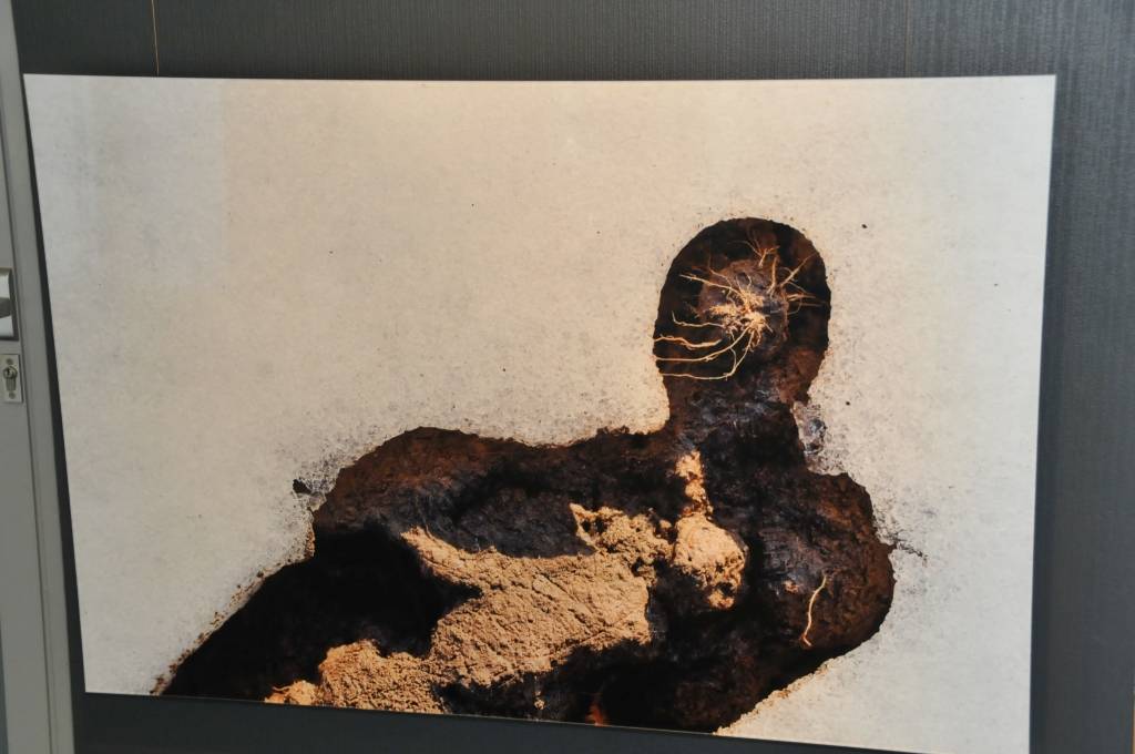 Liepājā AS “UPB” izstāžu galerijā līdz 14. jūnijam būs apskatāma fotogrāfa Jāņa Deinata personālizstāde “Paliek II”. Fotoizstādē aplūkojamie darbi tapuši laikā, kad fotogrāfs devies pastaigās dabā. Ar smalki niansētiem dabas vērojumiem...
Autors: ReKurZeme, portāls