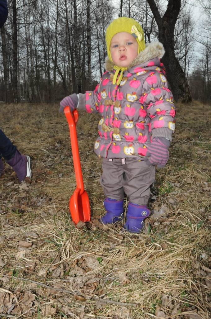 Autors: Dainis Ģelzis