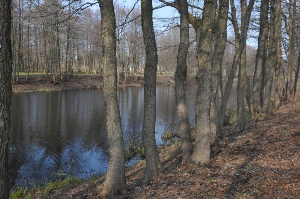 Pusdesmitos no rīta daļa talcinieku Bernātos jau izklīduši pa jūrmalu un slavenajām vigām, kur tās lielās lazdas aug (vigas ir ielejas starp kangariem, kas savukārt ir kāpas). Svetlana Pūķe, kas talciniekiem gatavo skābeņu zupu, pērn tajās...
Autors: Ilze Vainovska