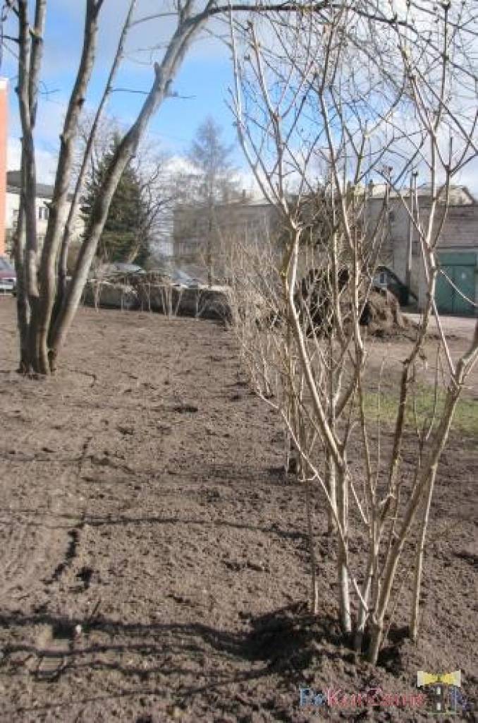 Šajā mājā dzīvoju jau sešus gadus, un kurš nevēlas dzīvot sakoptā mājā un sakoptā vidē. 2010.gadā mājas sapulcē nolēmām, ka varam par mājas
apsaimniekošanu piemaksāt 0.10ls par m2.Tas mums deva iespēju mājai salabot jumtu, nomainīt...
