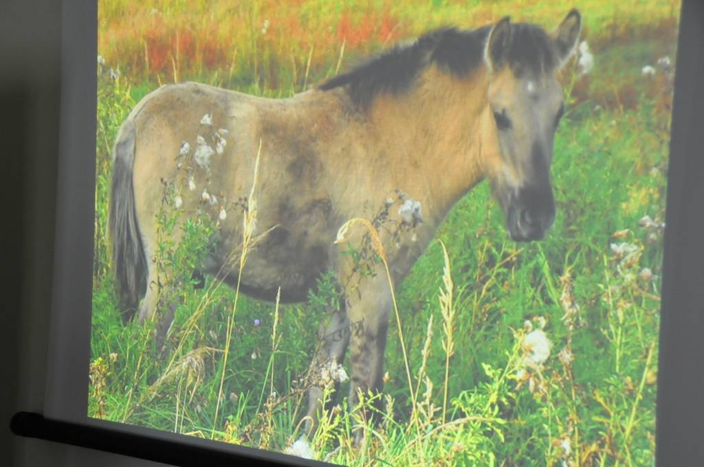 Otrdien, 15. maijā, Liepājas domē notika šā gada konkursa uzvarētāju un veicināšanas balvas ieguvēju darbu prezentācija un laureātu apbalvošana.

Par konkursa uzvarētājiem un veicināšanas balvas ieguvēju Vides un veselības daļas...
Autors: ReKurZeme, portāls