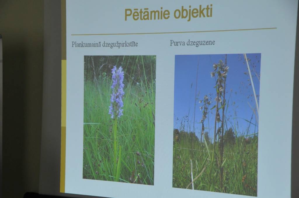 Otrdien, 15. maijā, Liepājas domē notika šā gada konkursa uzvarētāju un veicināšanas balvas ieguvēju darbu prezentācija un laureātu apbalvošana.

Par konkursa uzvarētājiem un veicināšanas balvas ieguvēju Vides un veselības daļas...
Autors: ReKurZeme, portāls