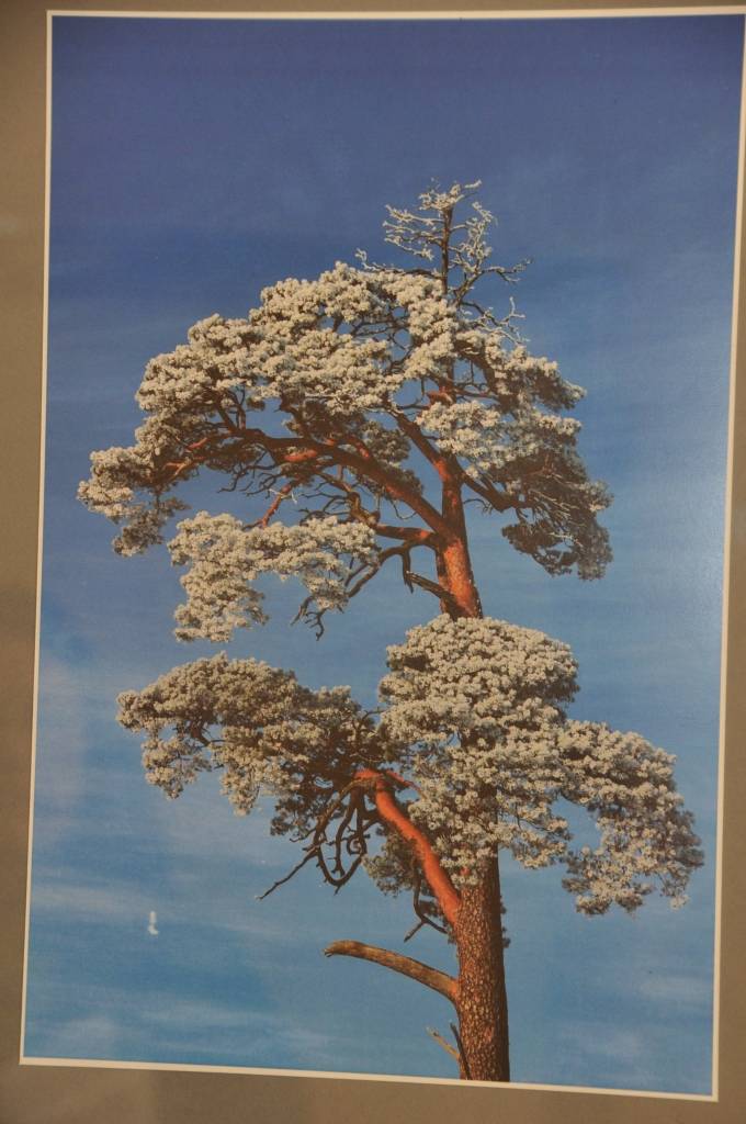 Līdz 12. maijam Grobiņas novada Skolēnu interešu centra (SIC) zālē apskatāma foto izstāde 