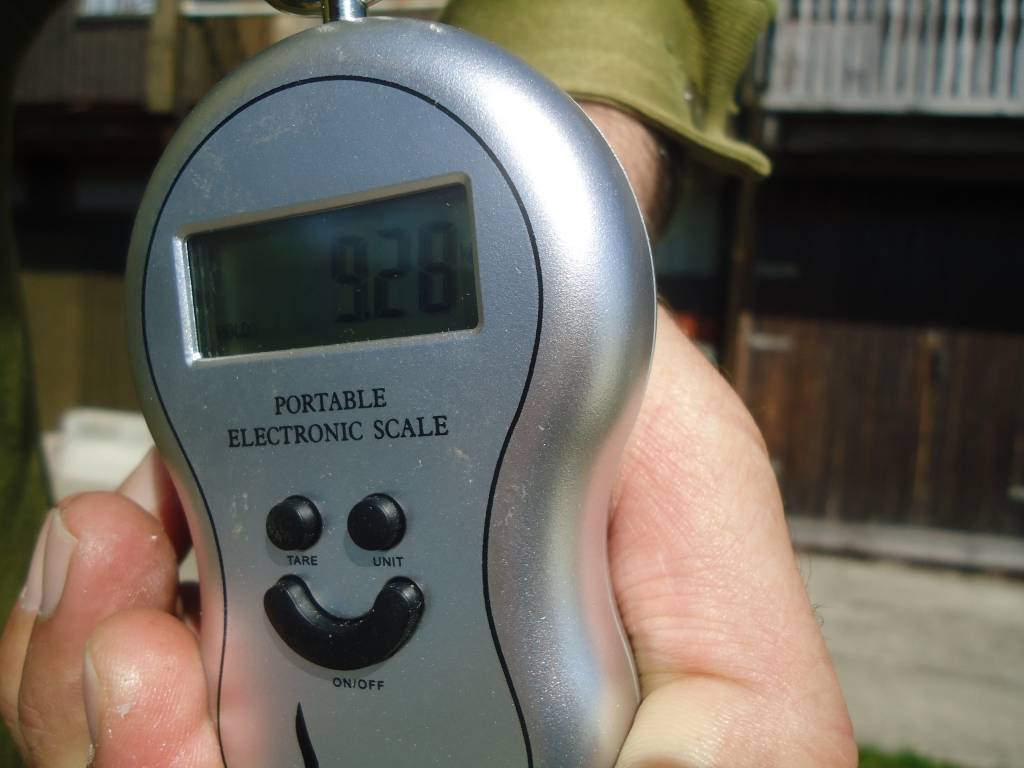Spiningošanas sezona Liepājas ezerā atklāta ar 9,30 kg smagu līdaku - foto iesūtījusi portāla lasītāja Daiga.
Autors: ReKurZeme, portāls