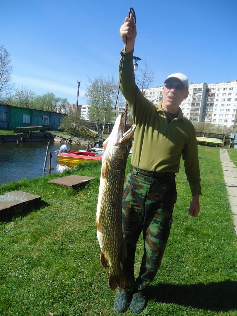 Spiningošanas sezona Liepājas ezerā atklāta ar 9,30 kg smagu līdaku - foto iesūtījusi portāla lasītāja Daiga.
Autors: ReKurZeme, portāls