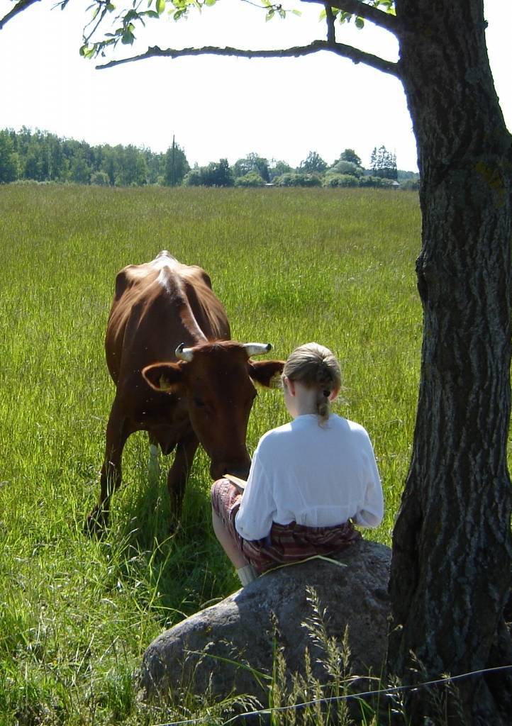 Autors: No arhīva