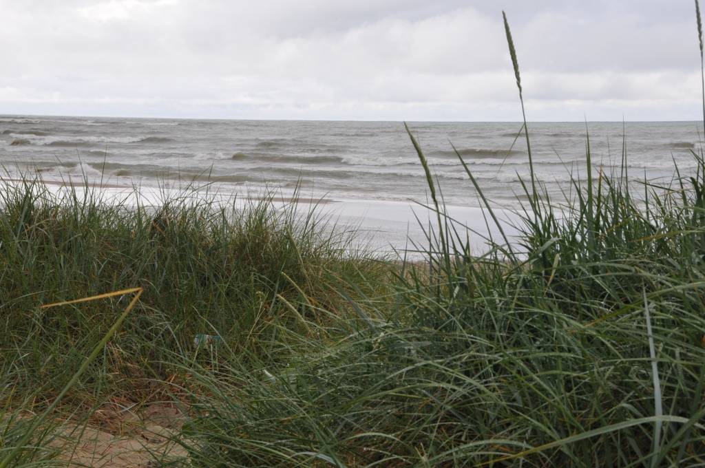 Akmeņraga bāka un piekraste.
Autors: ReKurZeme, portāls