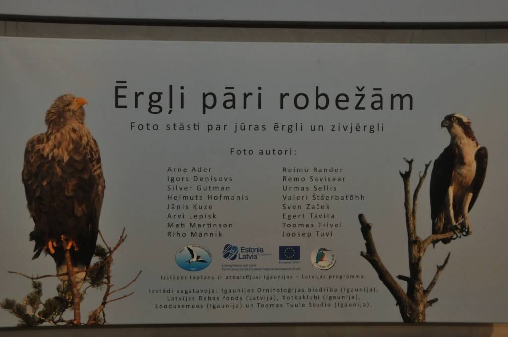 Liepājas Latviešu biedrības namā skatāma fotoizstāde "Ērgļi pāri robežām"".
Autors: ReKurZeme, portāls