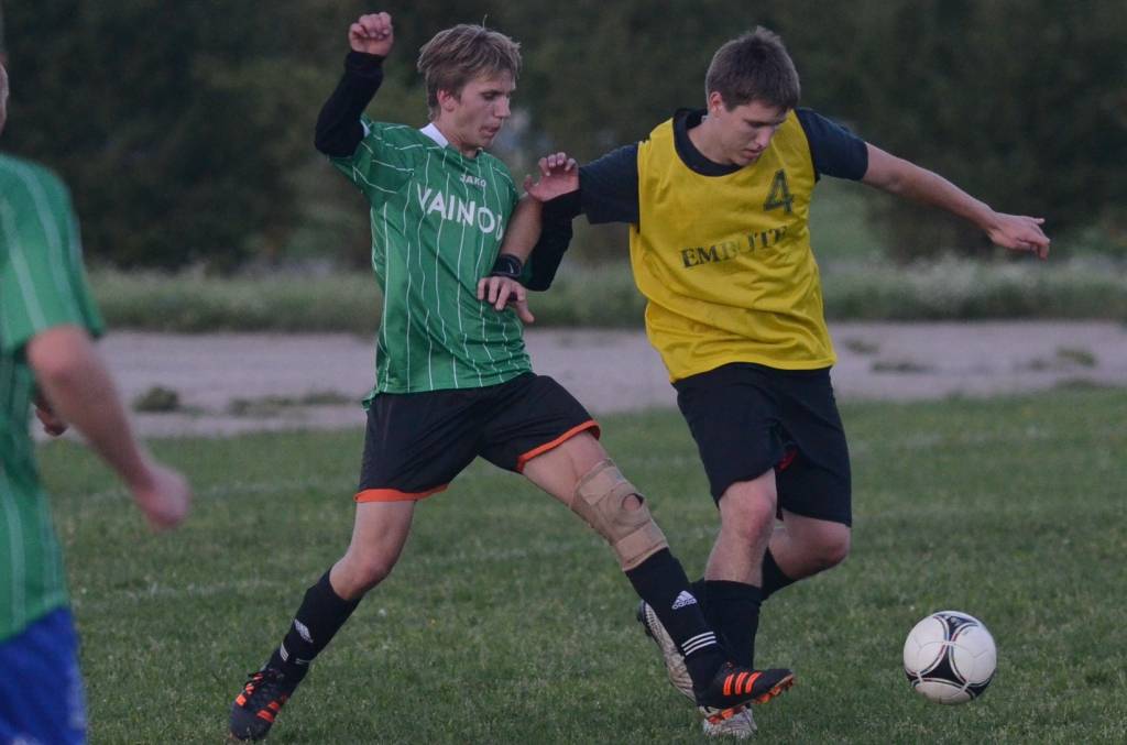 Autors: Uldis Dobelis