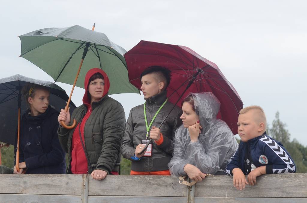 Autors: Uldis Dobelis