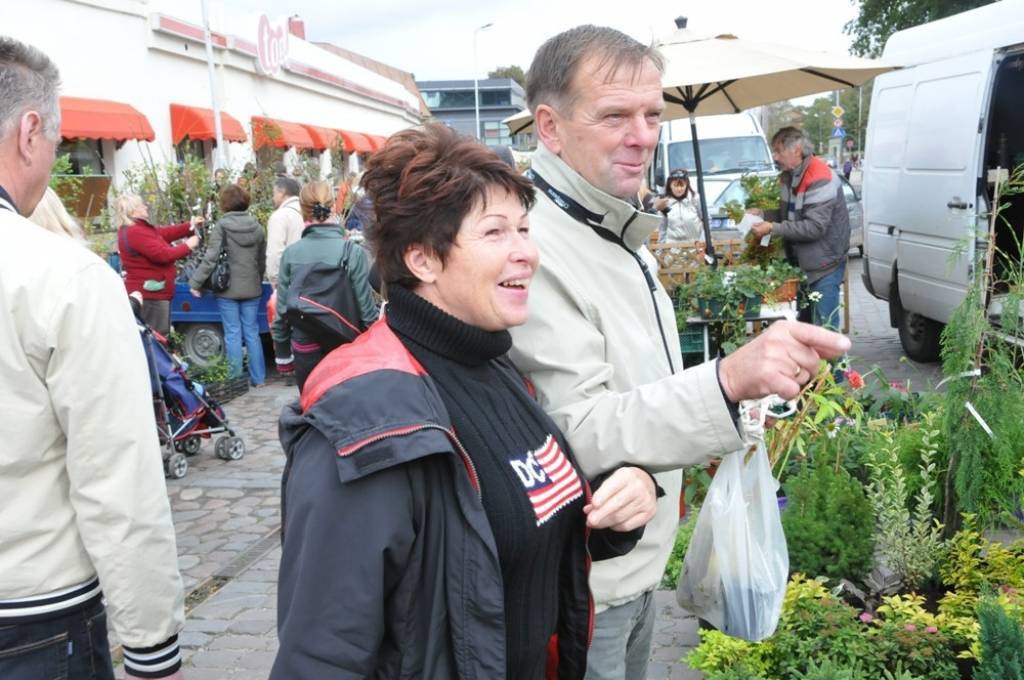 Autors: Dainis Ģelzis